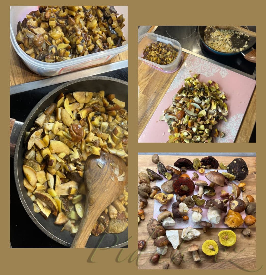 1. obrázek Jak správně zamrazit houby a proč 