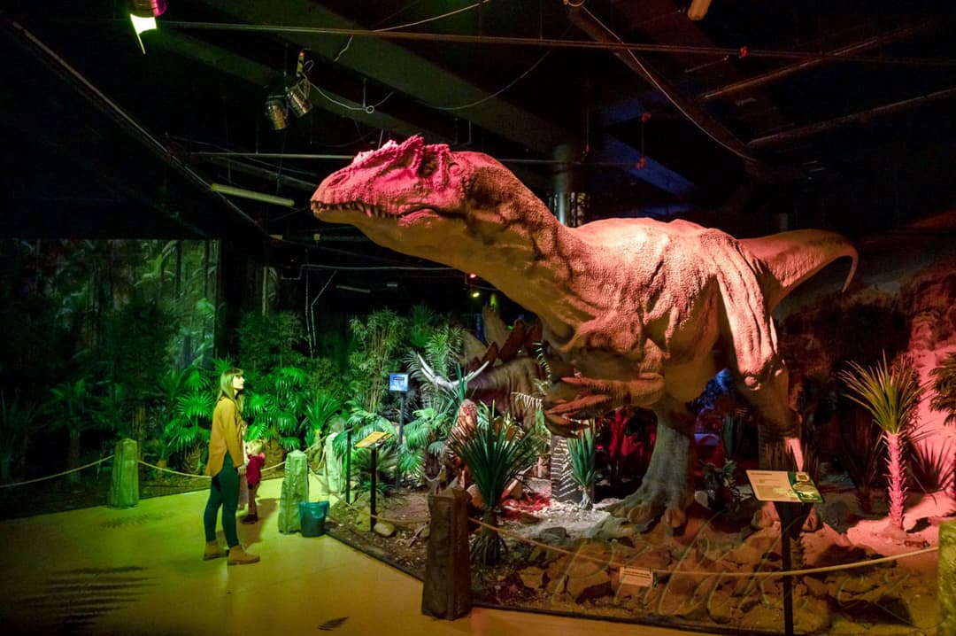 1. obrázek DinoPark Plaza Liberec