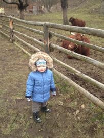 6. obrázek Toulcův Dvůr- středisko ekologické výchovy- Praha