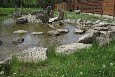 8. obrázek Japonská zahrada- Říčany u Prahy 