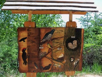 6. obrázek Dětská naučná stezka  na rozhlednu Klucanina - Brno - venkov