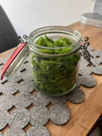 Obrázek Smrkové výhonky  tonikum na vlasy