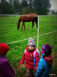 6. obrázek  Klub Klíček- Brandýs nad Labem