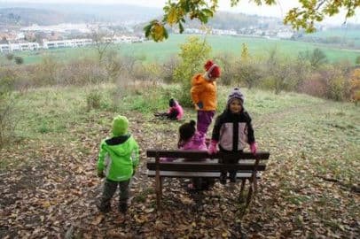 3. obrázek Malý strom- Lesní mateřská škola- Brno