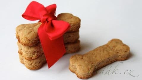 Obrázek Tvarohová mňamka pro pejsky