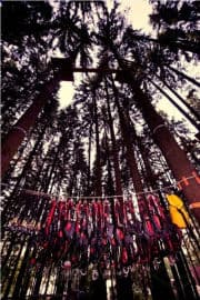 2. obrázek LC- Adventure park- Černá v Pošumaví