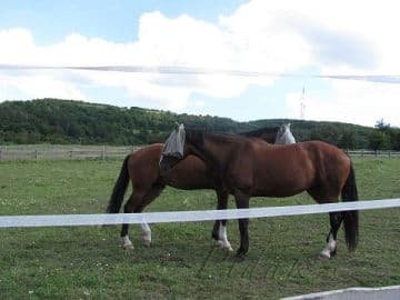 6. obrázek Chrustenická šachta - Chrustenice