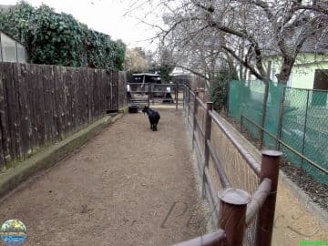 6. obrázek Ekocentrum Zahrada - Mladá Boleslav