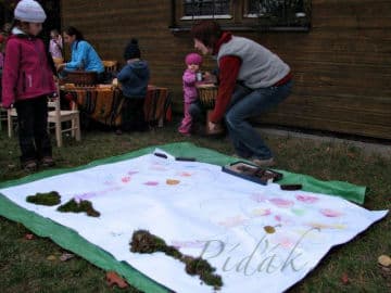 4. obrázek Dětský lesní klub U tří veverek- Hradec Králové