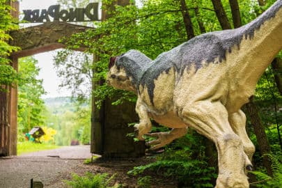 5. obrázek DinoPark ZOO Košice