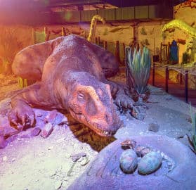 4. obrázek DinoPark Plaza Liberec