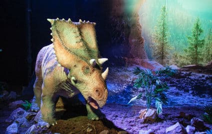 2. obrázek DinoPark Plaza Liberec