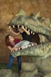 6. obrázek DinoPark Plaza Liberec