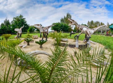 4. obrázek DinoPark Ostrava 