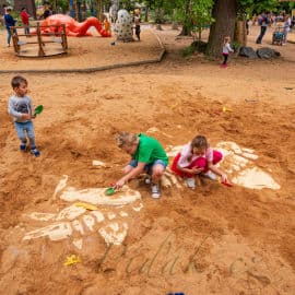 4. obrázek DinoPark ZOO Plzeň