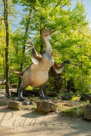 7. obrázek DinoPark ZOO Plzeň