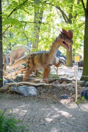 6. obrázek DinoPark ZOO Plzeň