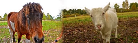 5. obrázek Penzion Bavlnka