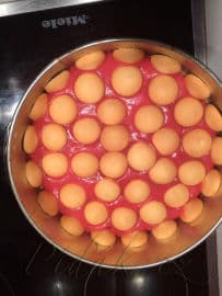 9. obrázek Mokrej pes od babičky