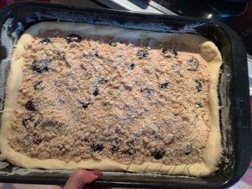 5. obrázek Kynutý koláč se švestkami a tvarohem 