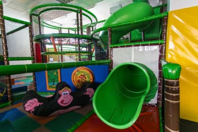 4. obrázek Pampalánie - Ústí nad Labem