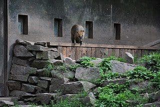 16. obrázek Zoologická zahrada Praha