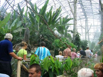 10. obrázek ZOO Zlín - Zámek Lešná- Zoo bez mříží