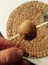 5. obrázek Avokádo - pěstujeme doma a z pecky