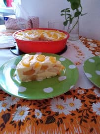 2. obrázek Pudinkovo-tvarohový nepečený dort od Stáni 