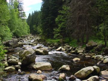 3. obrázek Aparthotel Šumava 2000 - Klatovy